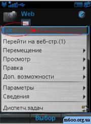 Web Exit Button