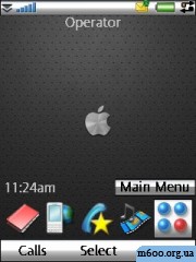 steel apple & skin