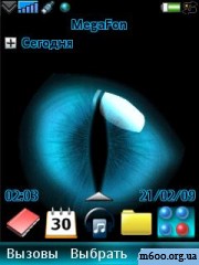 Panthers Eye