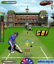 Flintoffs Powerplay Cricket