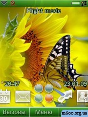 The Butterfly On The Sunflower