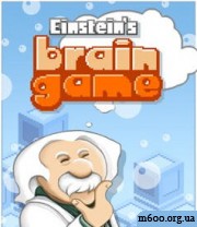 Einstein\'s Brain Game
