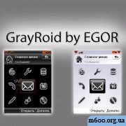 GrayRoid by EGOR